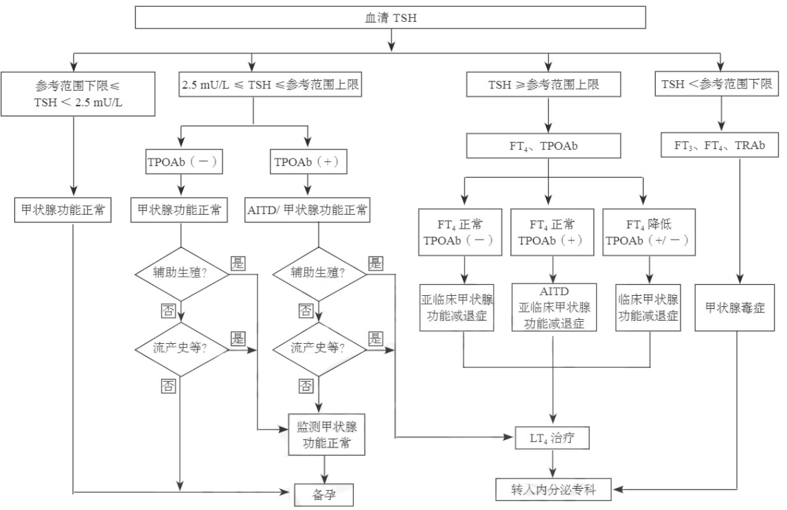 孕前血清TSH篩查、診斷和管理流程