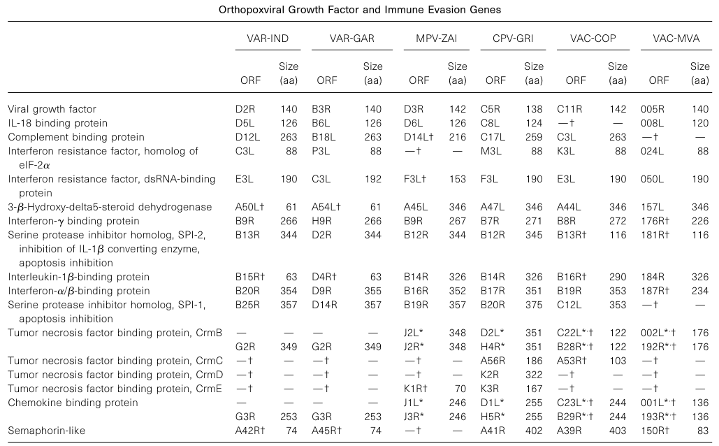 Orthopoxvirus Growth Factors and Immune Evasion Genes
