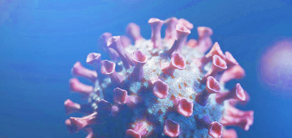 HBP高親和兔單抗，助力IVD備戰(zhàn)COVID-19重癥高峰