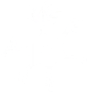 神經(jīng)類(lèi)