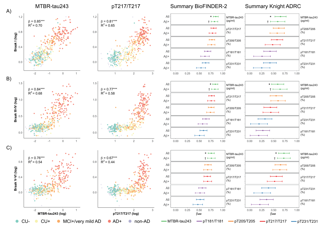 CSF生物標志物與不同Braak區(qū)域tau-PET的相關(guān)性